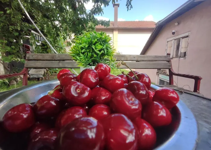 Guest House Lejla