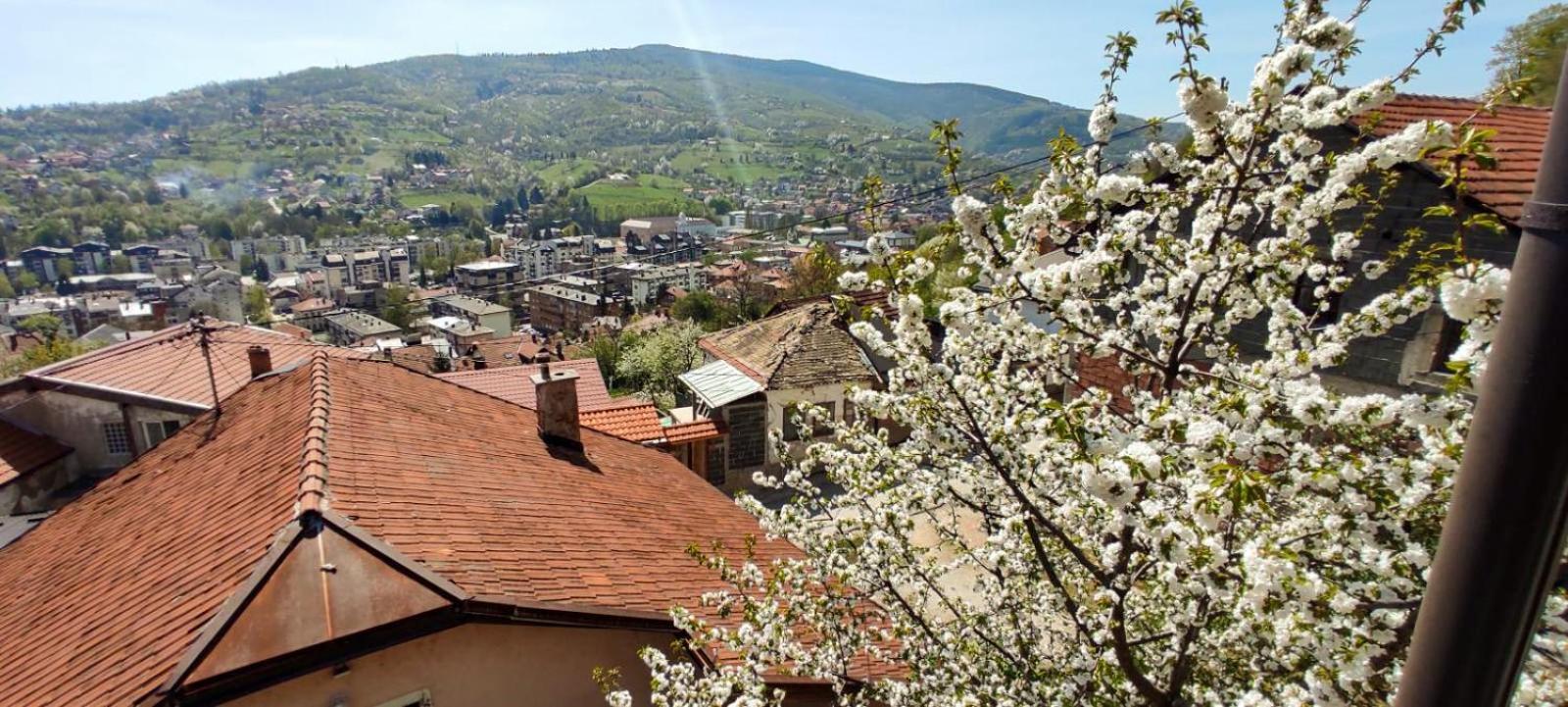 Lejla Holiday home *